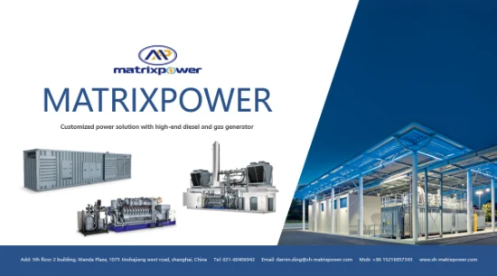 800kw Containerized Natural Gas Generator Set